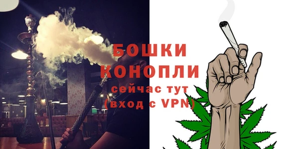 mdpv Бородино