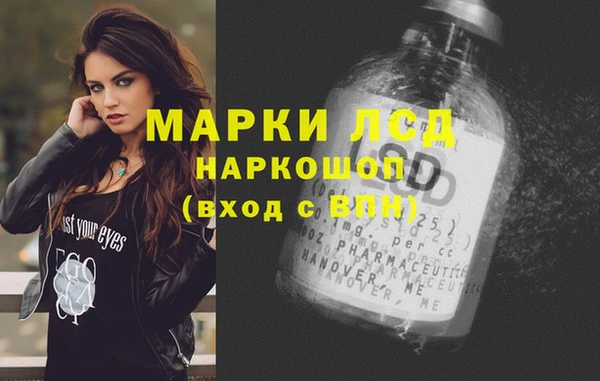 сатива Бугульма