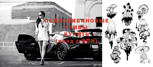 mdpv Бородино