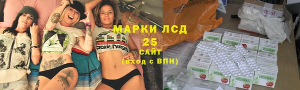 mdpv Бородино