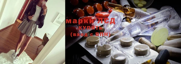 mdpv Бородино