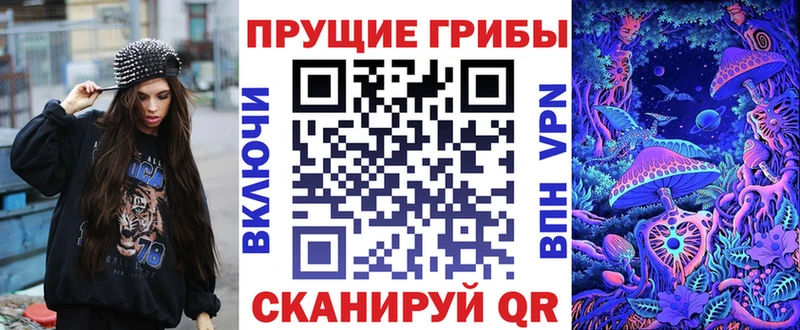 Купить  Лукоянов  Псилоцибиновые грибы Cubensis 
